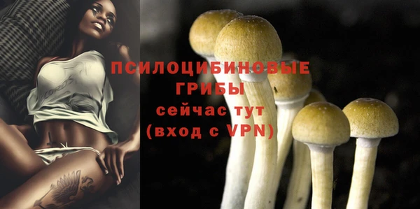 мескалин Белокуриха