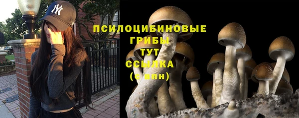 мескалин Белокуриха
