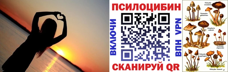 Галлюциногенные грибы Cubensis  KRAKEN ССЫЛКА  Волоколамск 
